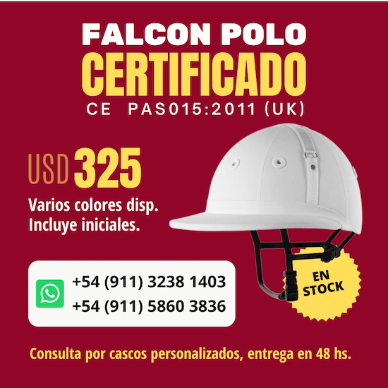 Casco Falcon Certificado
