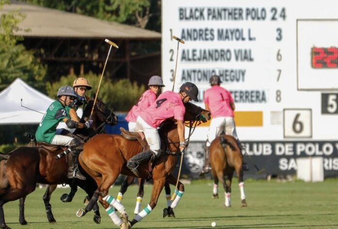 Imagen de un partido de polo