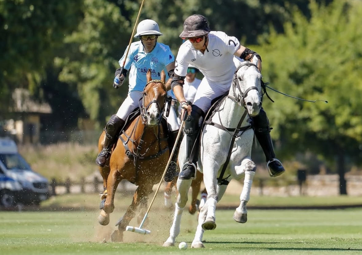 Imagen de un partido de polo