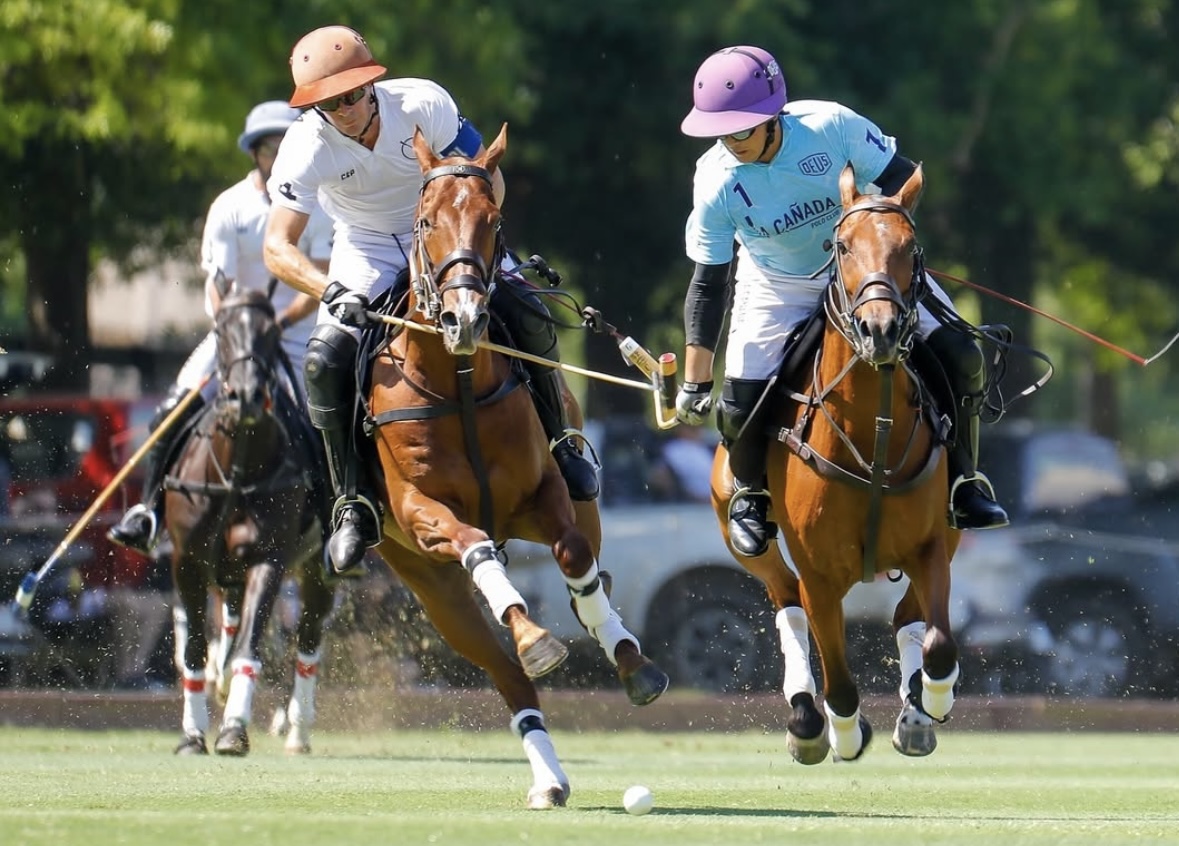 Imagen de un partido de polo